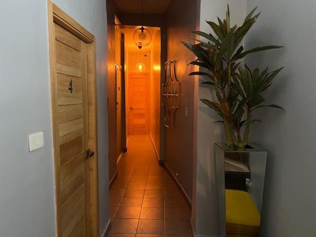 Hostal 53 Boutique Санто-Домінго Екстер'єр фото